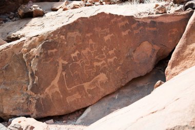 Twyfelfontein 'deki Bushmen Petroglifleri. Zürafa, aslan, at ve diğer hayvanlarla tasarım. Namibya, Afrika
