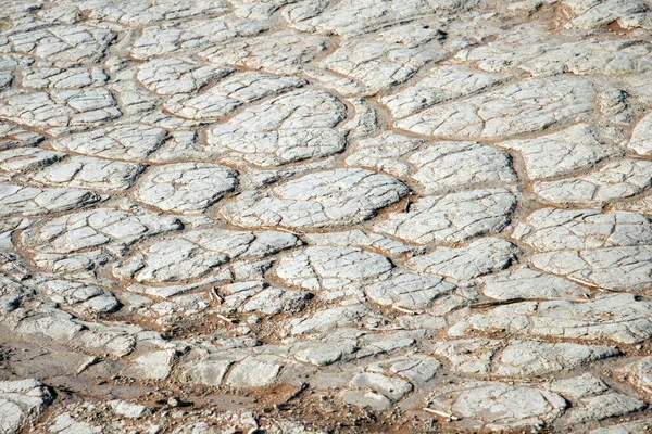 Schöne Natürliche Muster Auf Einer Salzigen Fläche Extreme Trockenheit Der — Stockfoto