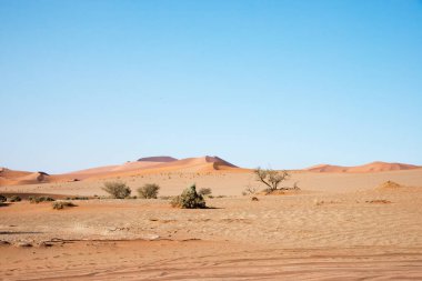 Namib Çölü 'ndeki çorak arazi. Mavi gökyüzü, insan yok. Namibya. Afrika