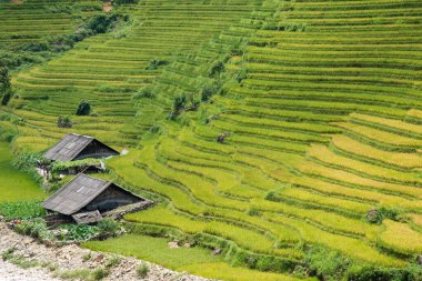 Sapa yakınlarında güzel bir kırsal çevre. Pirinç terasları ve iki ev. İnsan yok. Vietnam. Asya