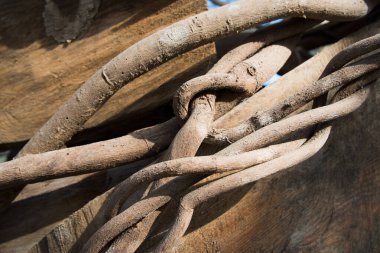 Doğal karmakarışık dalların arkaplanı. Dokuma. İspanya