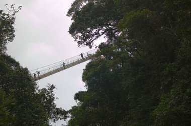 Arenal, Kosta Rika; 08102007: İnsanlar asma bir köprüden geçiyorlar, aşağıdan görülüyorlar. Macera turizmi Kosta Rika 'da çok popüler bir deneyimdir.