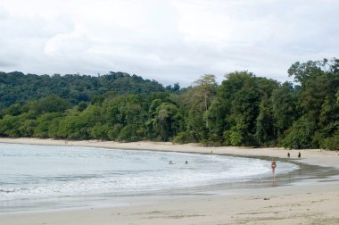 Manuel Antonio Ulusal Parkı, Kosta Rika; 08213007: Ulusal Park çevresindeki tropikal orman. Kazara insanlar kumda yürüyorlar.. 