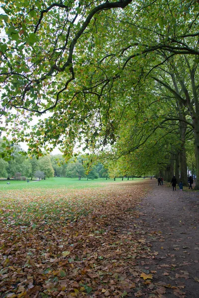 Sentier Pédestre Dans Parc Londonien Automne Laisse Sur Sol Royaume — Photo