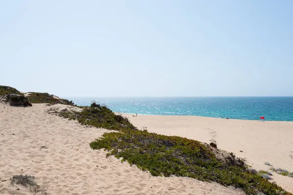 Piękny Widok Wybrzeże Atlantyku Portugalii Piaszczysta Plaża Słoneczny Dzień Alentejo — Zdjęcie stockowe