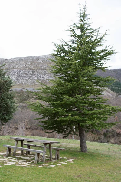 Piknik Přírodním Parku Babia Luna Mezi Leonem Asturií Dřevěný Stůl — Stock fotografie