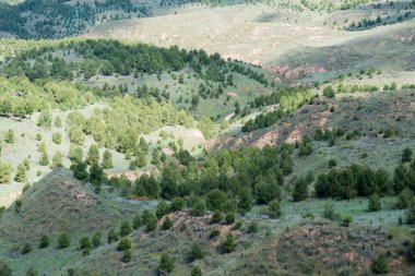 Tepelerinden birinden Los Cerros Parkı 'nın havadan görüntüsü. Alcala de Henares, Madrid, İspanya