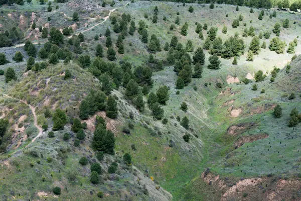 Baharda Los Cerros Parkı 'nda. Hava görüntüsü. Alcala de Henares, Madrid, İspanya