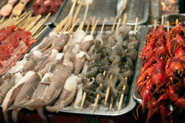 Sokak yiyecekleri pazarında çeşitli şişler. Pekin, Çin