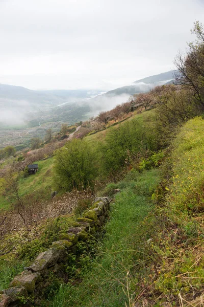 Green Mountain Fog Caceres — Stock Photo, Image