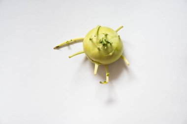 Kohlrabi, also known as german turnip, seen from above. White background. Spain