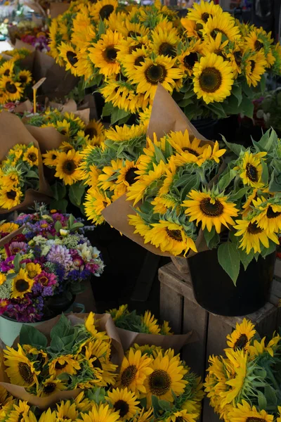 Bouquets of sunflowers to sell in a market. France
