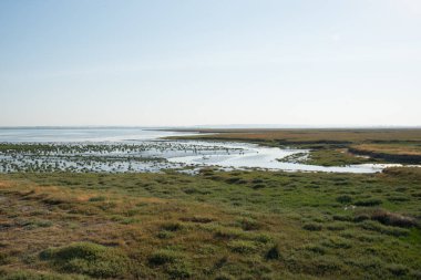 Suyu olan güzel yeşil bir manzara. Saint Michel Dağı Fransa