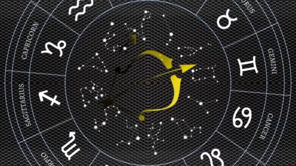 Coerentemente Segni Zodiacali Brillanti Sembrano Eleganti — Video Stock