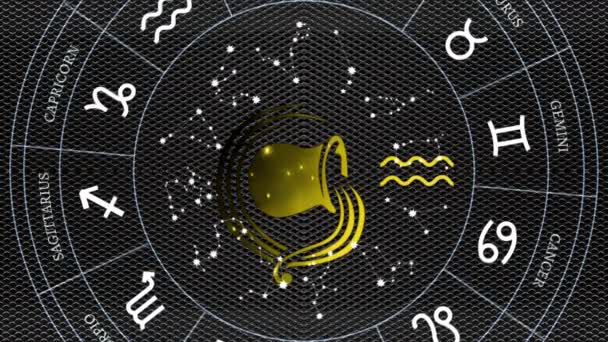 Coerentemente Segni Zodiacali Brillanti Sembrano Eleganti — Video Stock