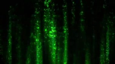 Işık sürekli olarak metalik arkaplanda titreşir..