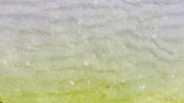 Agua Colorida Refleja Con Luz Creando Reflejo Brillante Hermoso — Vídeos de Stock