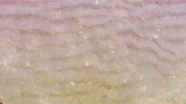 Su yüzeyinden yansıyan ışık sürekli hareket halinde güzel ve doğal görünüyor..