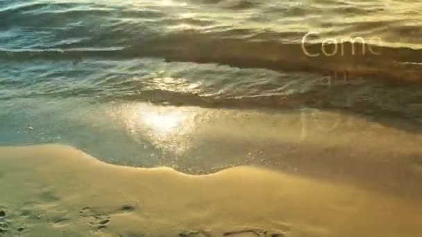 Small Water Waves Continually Move Coast — Stock Video