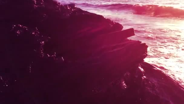 Бревна Пляже Естественно Красивы — стоковое видео