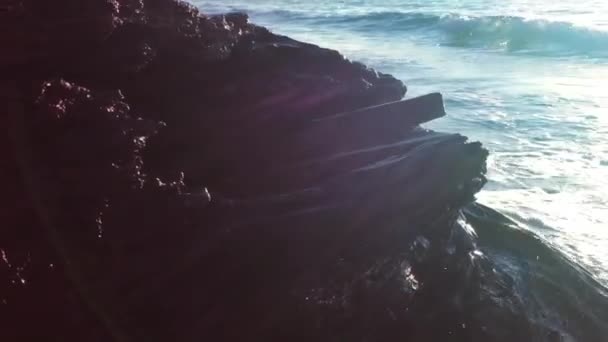 Troncos Praia São Naturalmente Bonitos — Vídeo de Stock
