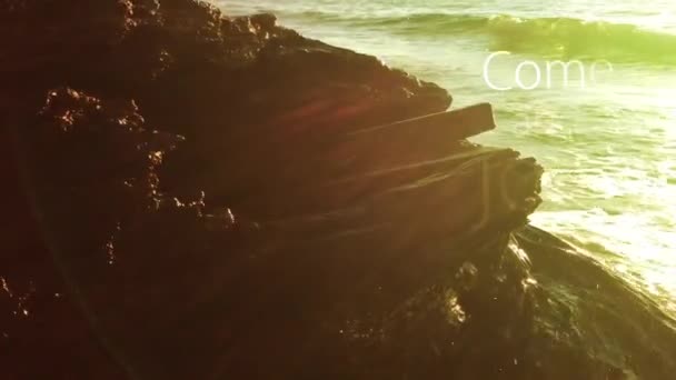 Κούτσουρα Στην Παραλία Είναι Φυσικά Όμορφα — Αρχείο Βίντεο