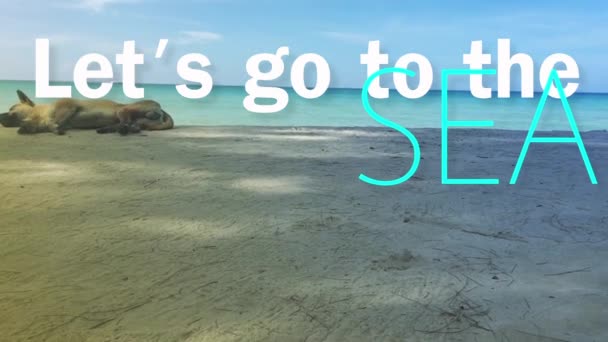 Cão Lounging Praia Parece Confortável Com Elementos Caráter — Vídeo de Stock