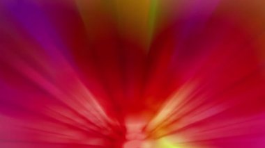 Işık huzmeleri aralıksız yayılıyor, parlak ve güzel görünüyorlar..