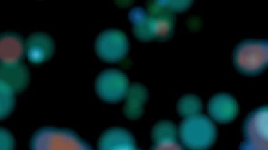 Bölgede yüzen renkli daireler, çok güzel görünüyorlar..