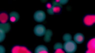 Bölgede yüzen renkli daireler, çok güzel görünüyorlar..