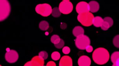 Bölgede yüzen renkli daireler, çok güzel görünüyorlar..