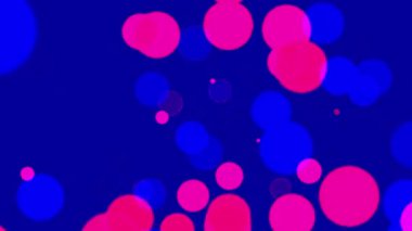 Bölgede yüzen renkli daireler, çok güzel görünüyorlar..