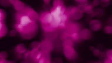 The beams of light scattered across the area looked bright.