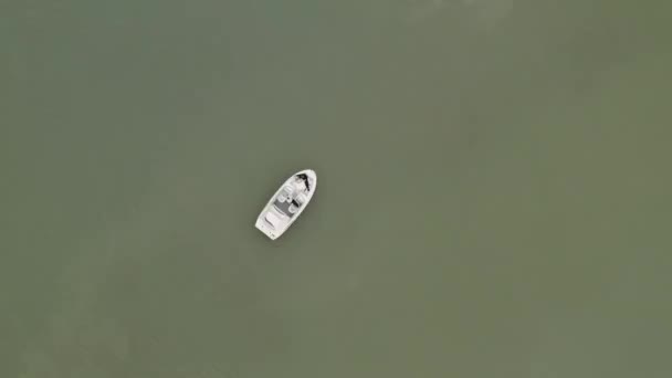 Top Widok Drone łodzi zielone wody. — Wideo stockowe