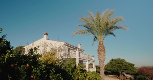Big two-storey house with a palm tree under a blue sky — Vídeo de Stock