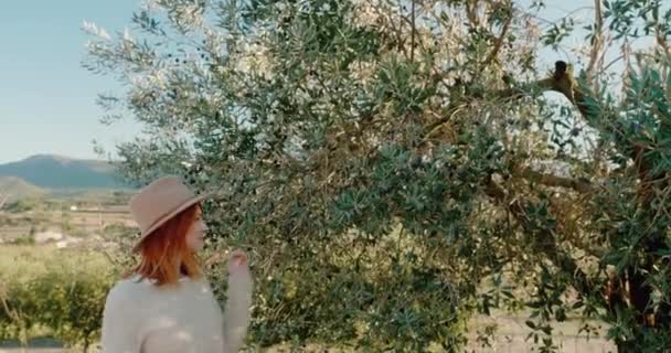 Redhead woman in hat touches lush olive trees on sunny day — Vídeo de Stock