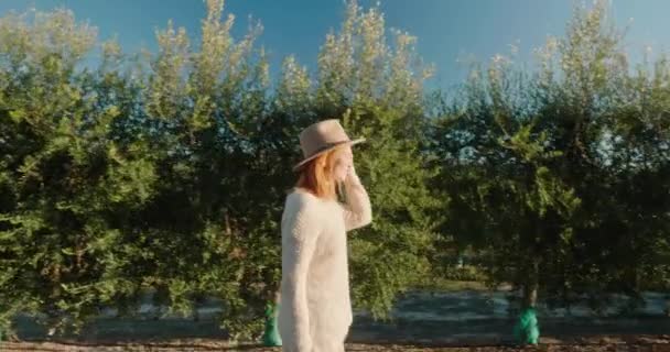 Stylish woman walks along row of olive trees on sunny day — Vídeo de Stock