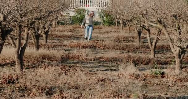 Frau läuft mit Kamera zwischen kahlen Bäumen auf großes zweistöckiges Haus zu — Stockvideo