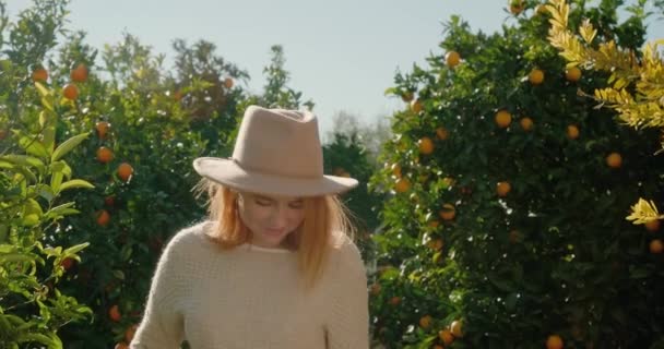 Young woman poses for photo standing against orange trees — Vídeo de Stock