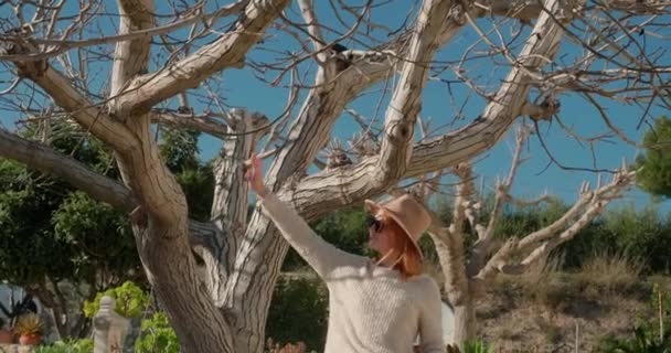 Woman tourist stands near big bare tree posing for photo — Vídeo de Stock