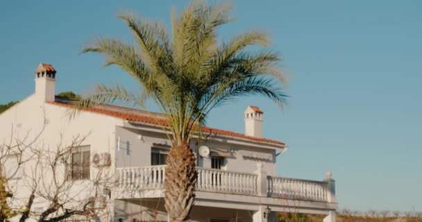 Big two-storey house with a palm tree under a blue sky — Vídeo de Stock