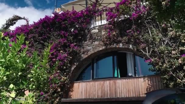 Uitzicht op de ramen van een twee verdiepingen tellend huis begroeid met bloemen — Stockvideo
