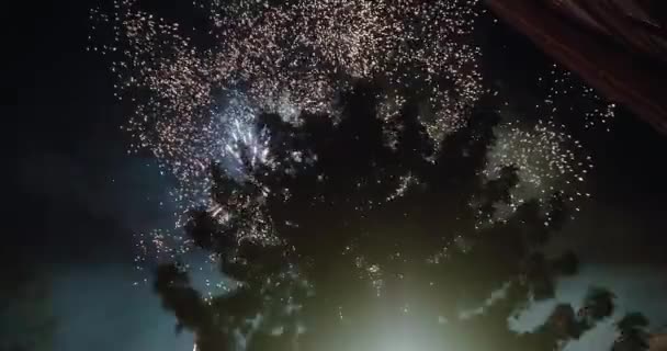 Pyrotechnici lanceren vuurwerk op Las Fallas festival — Stockvideo