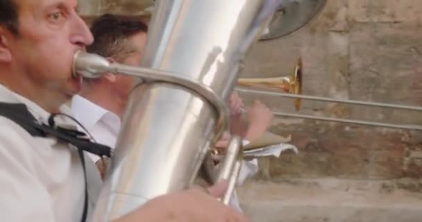 Adults plays music at the celebrating Las Fallas festival — стокове відео