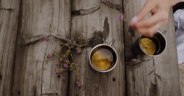 Жінка Робить Трав Яний Чай Кидаючи Квіти Чашки Кип Яченою — стокове відео