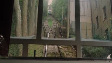 Cable car rides on old railway road past thick tree trunks and ancient city building. View through front window of touristic public transport closeup