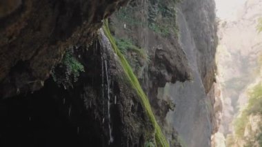 Clear water flows from giant rock overgrown with rare vegetation against rocky cliff. Scenic wild nature in countryside on sunny and shadow sides