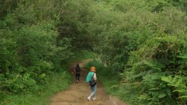 Female tourists walk on ground road stretching in forest with dense vegetation. Women enjoy hiking near green trees backside view slow motion
