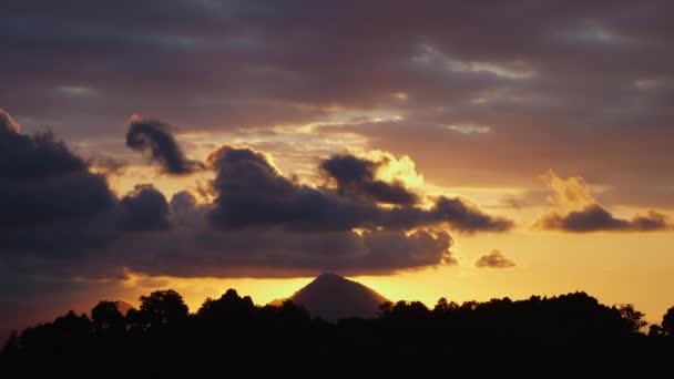 Dark Silhouettes Trees Growing Countryside Sunset Lush Treetops Dark Cloudy — Vídeo de Stock