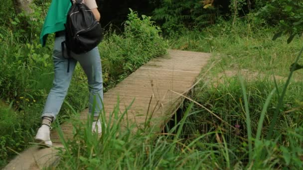Woman Backpack Walks Small Wooden Footbridge Built Swamp Thickets Young — Αρχείο Βίντεο